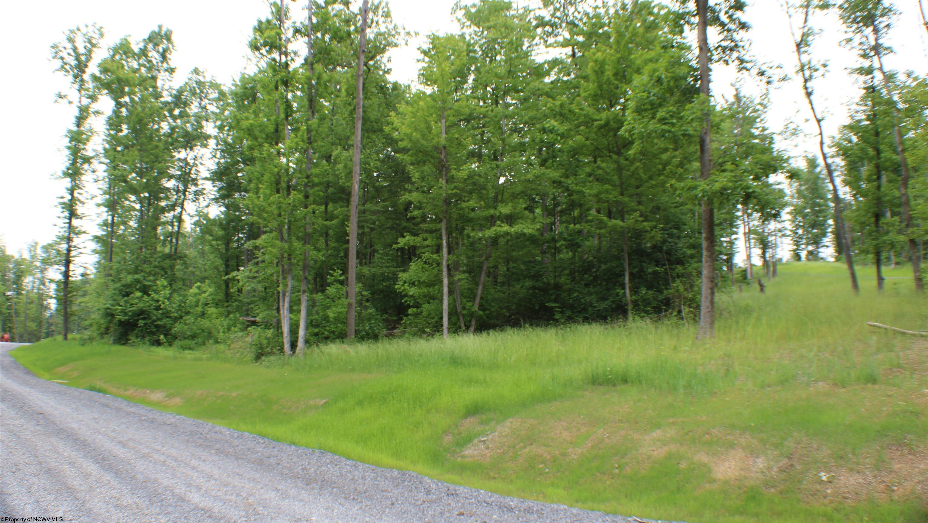 Photo 4 of 19 of Lot #11 Eagle Butte Way land