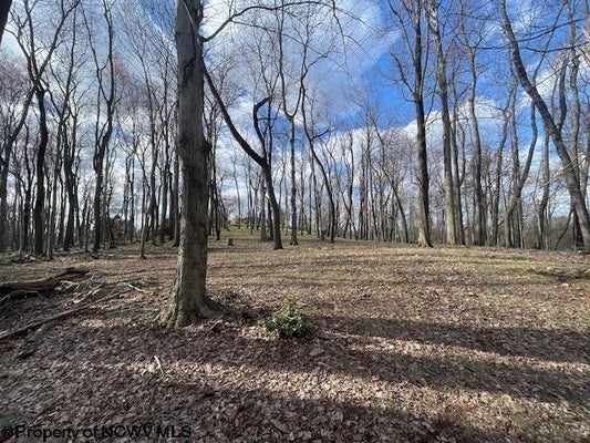 S PIERPONT RD, MORGANTOWN, WV 26508 - Image d36fea74ff15acb124895bd3f2c92421/953102090