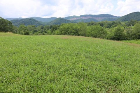 Photo of Lot 22 Bosworth Drive, Elkins, WV 26241 (MLS # 10160448)