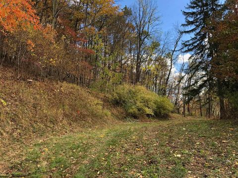 Photo of TBD Jones Lane Road, Parsons, WV 26287 (MLS # 10162097)