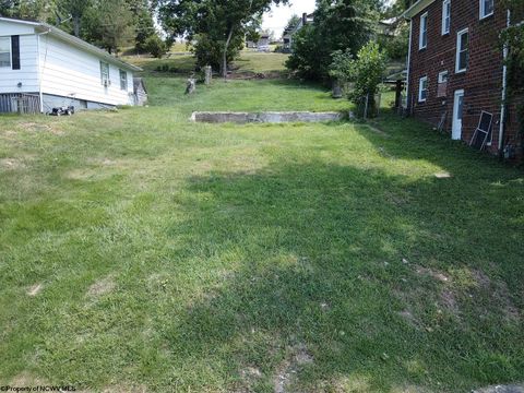 Photo of 501 Braxton Street, Gassaway, WV 26624 (MLS # 10161440)