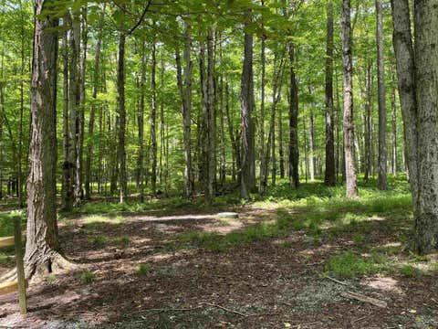 Photo of Lot 42 Bobcat Road, Davis, WV 26260 (MLS # 10165576)