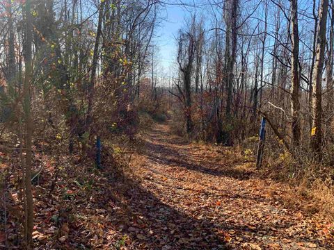 Photo of TBD Narrows Road, Philippi, WV 26416 (MLS # 10162484)