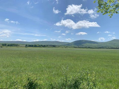 Photo of 96 Brook Trout Way, Davis, WV 26260 (MLS # 10161789)