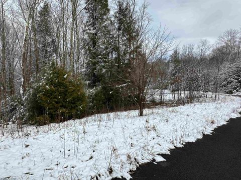 Photo of Lot 103 Canal Street, Davis, WV 26260 (MLS # 10158156)