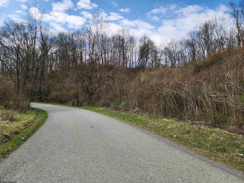 Photo of TBD Buffalo Creek Road, Lost Creek, WV 26385 (MLS # 10164002)