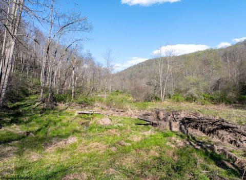 Photo of Lot 1 Squires Run Road, Reedsville, WV 26547 (MLS # 10165028)
