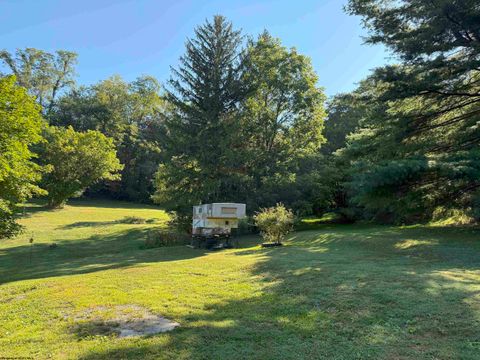 Photo of 109 Knapp Street, Elkins, WV 26241 (MLS # 10161352)