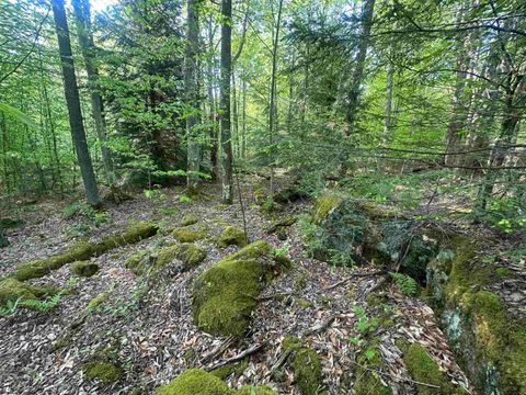 Photo of Lot 4 Tuscan Ridge Road, Davis, WV 26260 (MLS # 10164990)