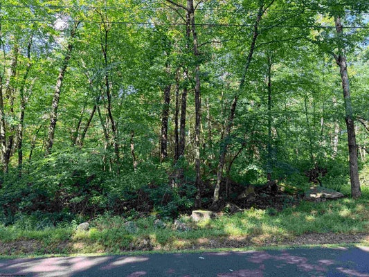 REDWOOD DR, TERRA ALTA, WV 26764 - Image dc6c724a4e506ff3038daab7e25bf1ad/2427415050