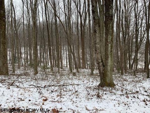 Photo of TBD Mt. Hebron Road, Volga, WV 26238 (MLS # 10162901)
