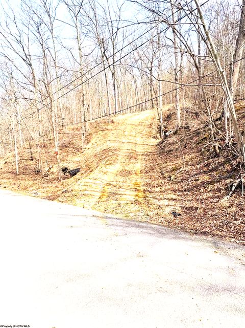 Photo of tbd Pine Grove Road, Fairmont, WV 26554 (MLS # 10163946)