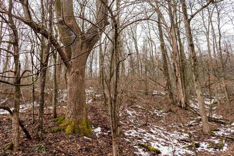 Photo of Lot 1 Huey Run Road, Mannington, WV 26582 (MLS # 10163419)
