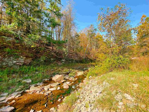 Photo of Lot 2 Blizzards Gate Road, Harman, WV 26270 (MLS # 10156845)