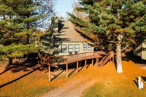 Photo of 77 Honey Pot Lane, Davis, WV 26260 (MLS # 10164525)