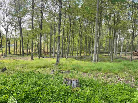 Photo of TBD West Street, Reedsville, WV 26547 (MLS # 10159870)