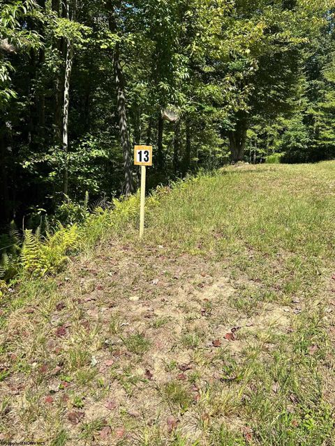 Photo of Lot 13 Countryside Drive, Buckhannon, WV 26201 (MLS # 10150913)