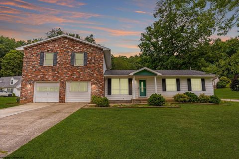 Photo of 398 Rohr Avenue, Buckhannon, WV 26201 (MLS # 10161261)