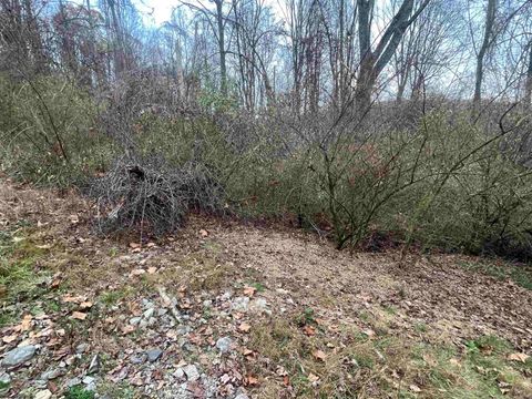 Photo of 1154 Brady Gate Road, Monterville, WV 26282 (MLS # 10161227)