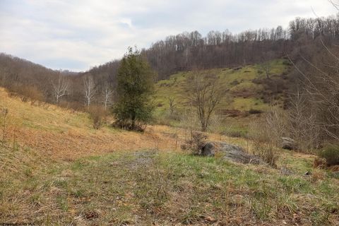 Photo of TBD Mudlick Run Road, Fairmont, WV 26554 (MLS # 10163964)