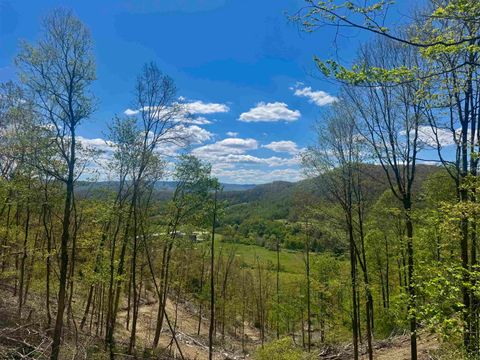 Photo of TBD Staunton Parkersburg Turnpike, Durbin, WV 26264 (MLS # 10164996)