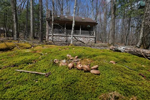 Photo of 347 Windflower Drive, Terra Alta, WV 26764 (MLS # 10163100)