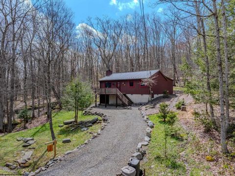 Photo of 597 Pine Drive, Terra Alta, WV 26764 (MLS # 10164394)