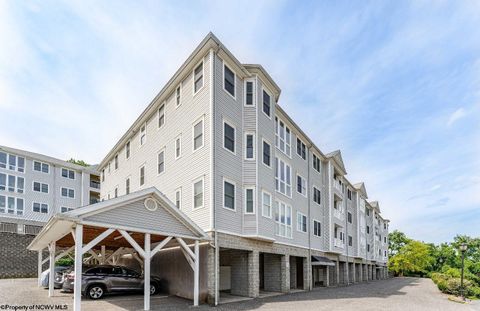 Photo of 220 Fountain View Drive, Morgantown, WV 26505 (MLS # 10161237)