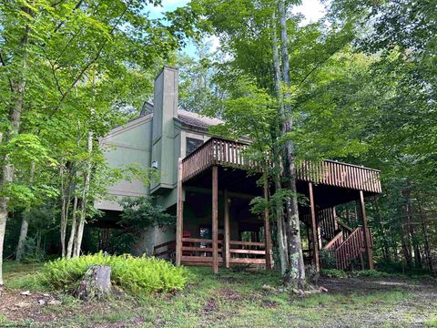 Photo of 185 Tree Top Lane Lot 101, Davis, WV 26260 (MLS # 10161492)