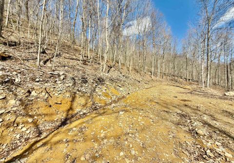 Photo of Lot 9 Brooklyn Way, Moatsville, WV 26405 (MLS # 10163865)