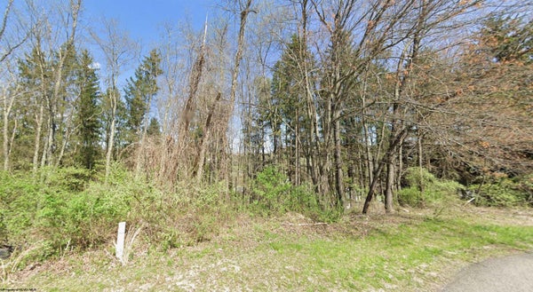 3 ELM ST, MAIDSVILLE, WV 26541 - Image e79fa36b0cb7f374abd23a13b3d85ddc/1471008744