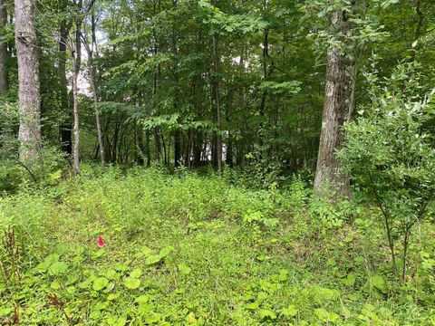 Photo of Lot 72 Oak Drive, Terra Alta, WV 26764 (MLS # 10162774)