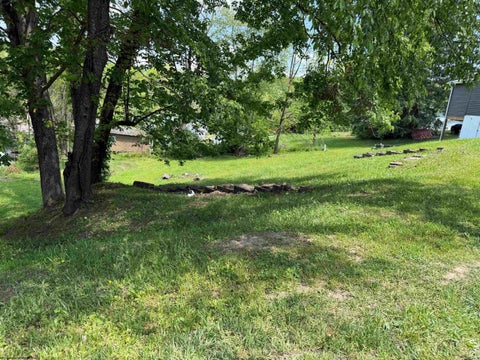 Photo of TBD S Second Street, Belington, WV 26250 (MLS # 10164950)