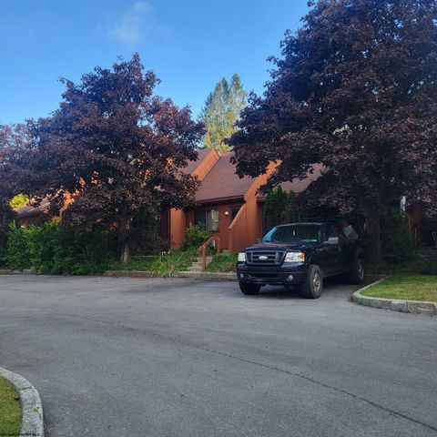 Photo of 20 Pendletonheim Circle #Unit, Davis, WV 26260 (MLS # 10161366)