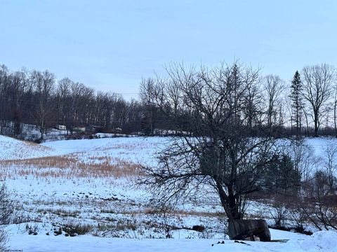 Photo of 1021 Clover Run Road, Montrose, WV 26283 (MLS # 10162939)