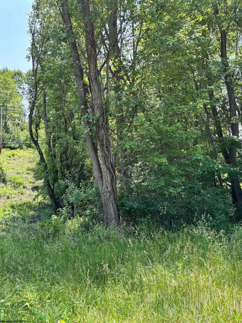 Photo of LOT 4 Barbour County Highway, Philippi, WV 26416 (MLS # 10159843)