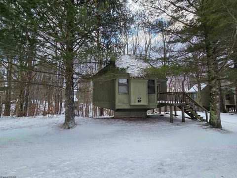 Photo of 77 Wildflower Way, Davis, WV 26260 (MLS # 10164117)