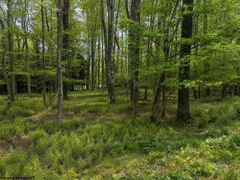Photo of Lots 175 & 176 Laurel Circle, Terra Alta, WV 26764 (MLS # 10165094)