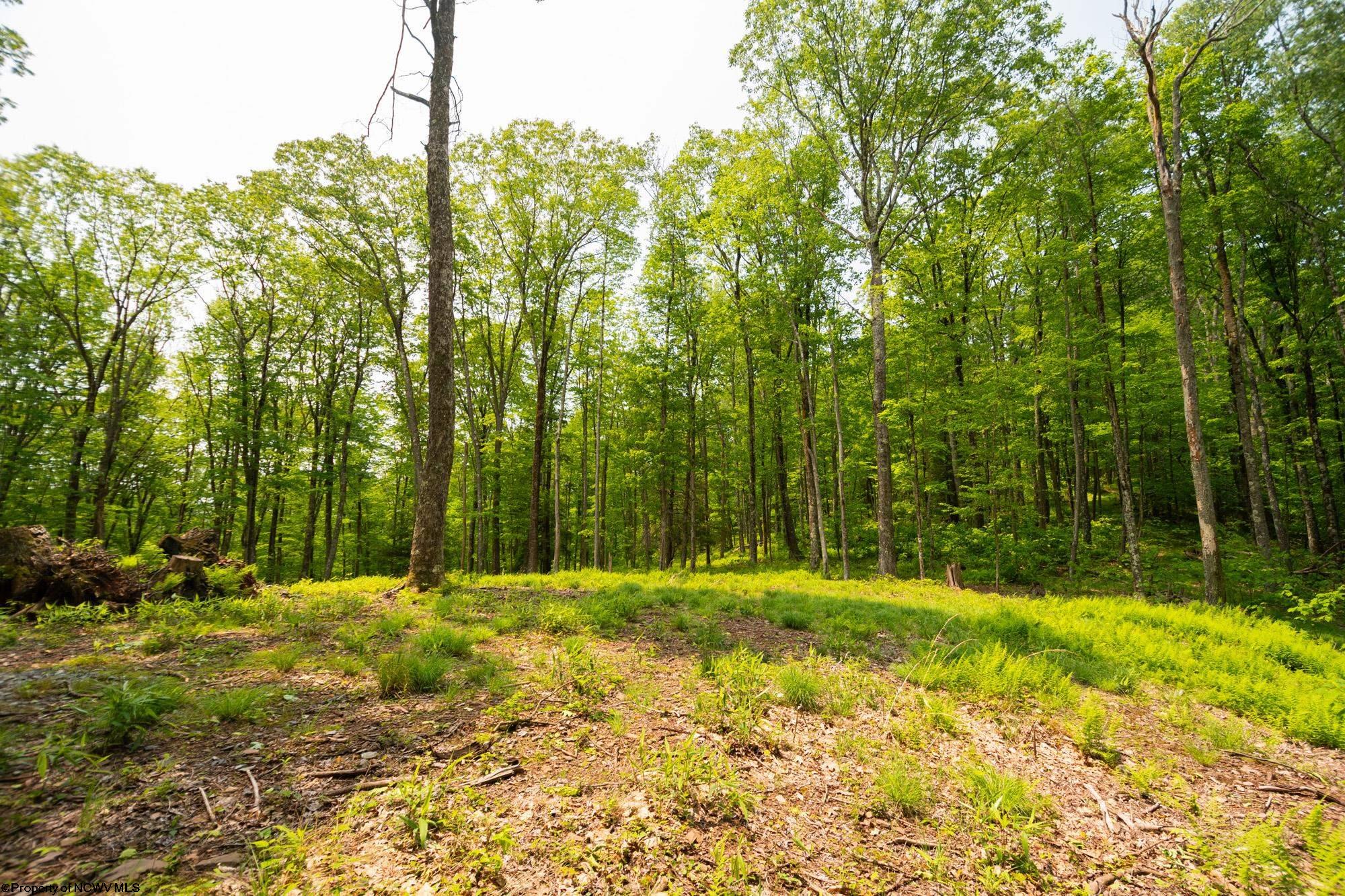 Oakland, Maryland 21550, United States, ,Land,Active,148462