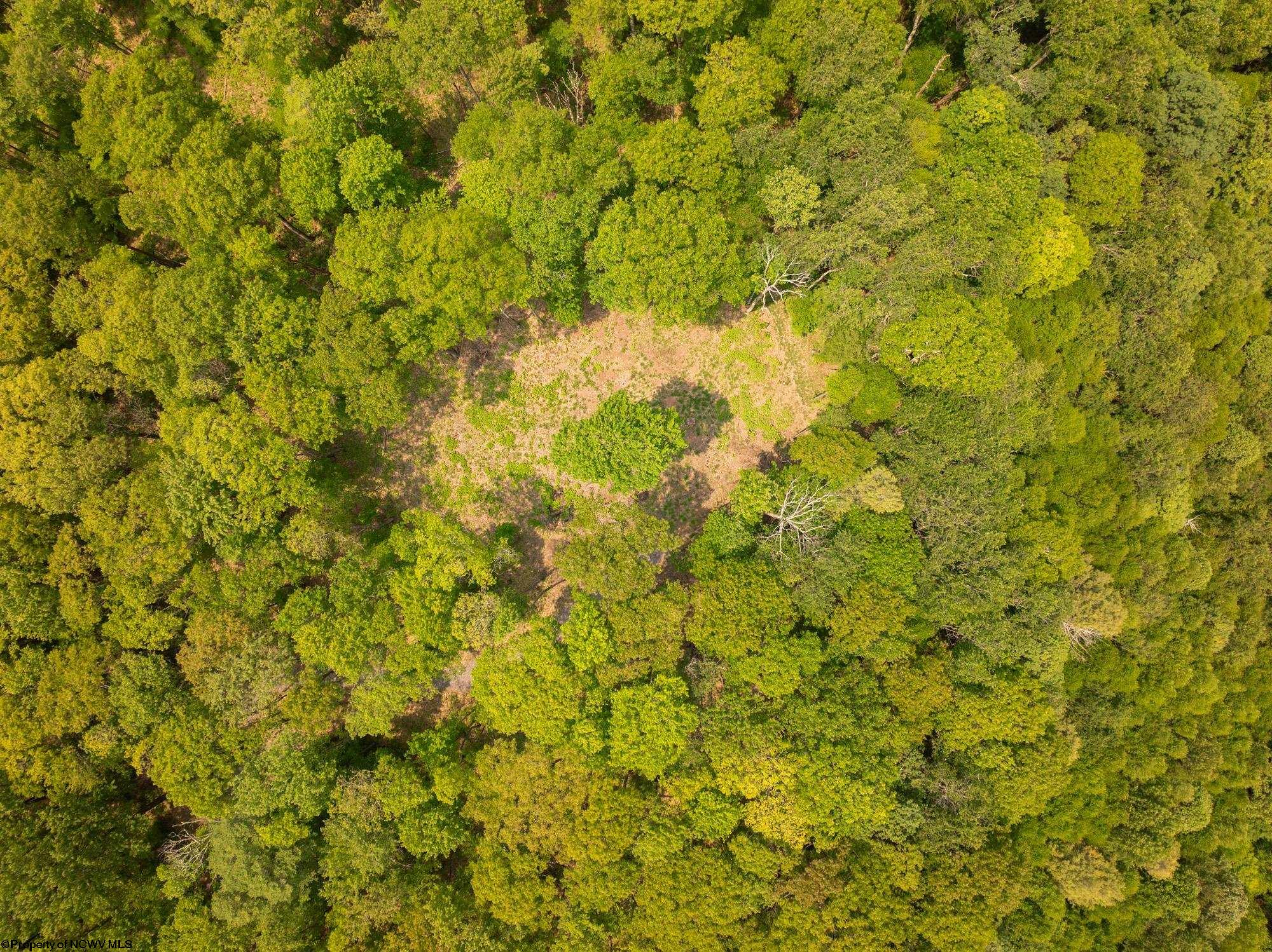 Oakland, Maryland 21550, United States, ,Land,Active,148462