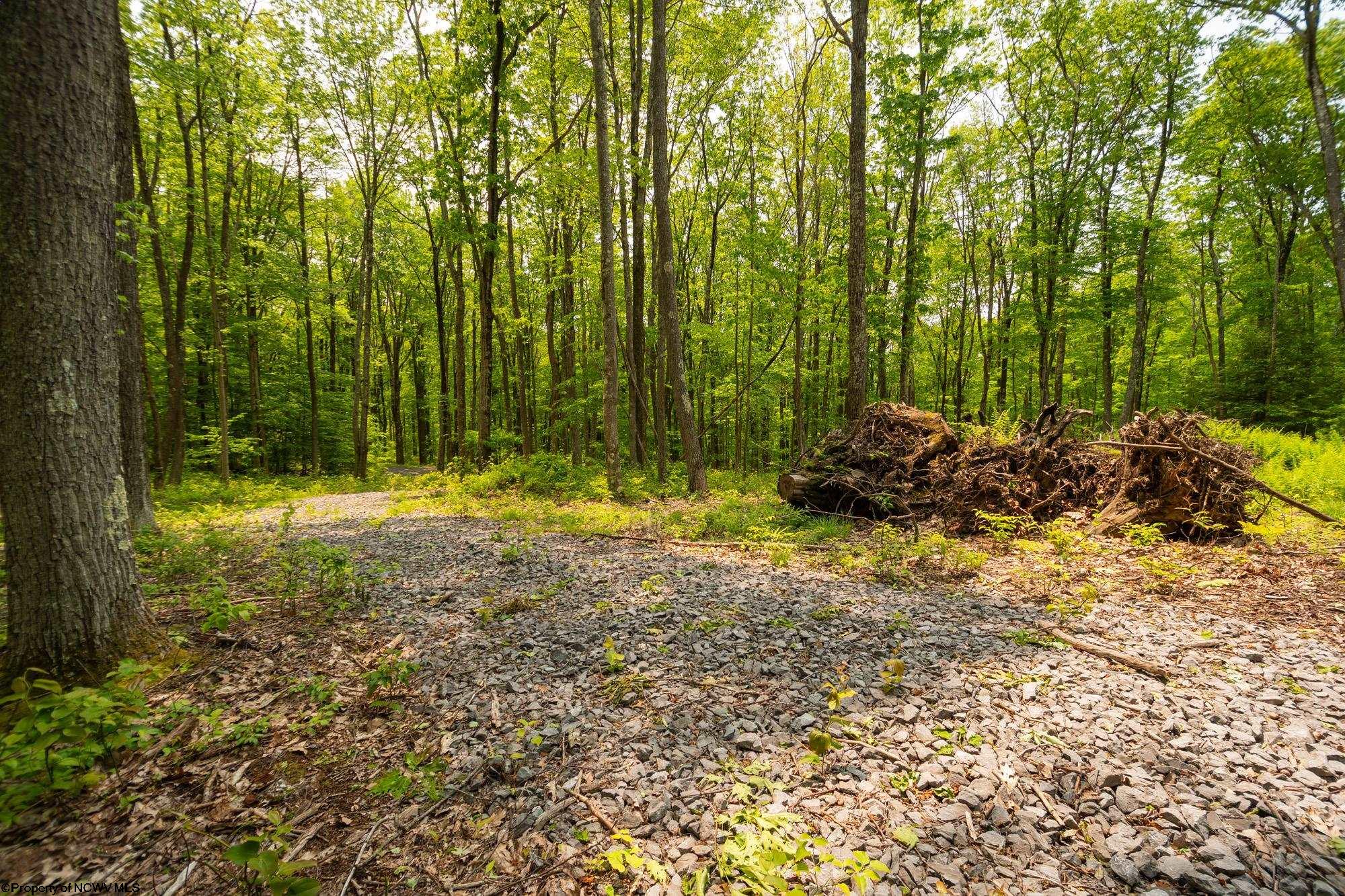 Oakland, Maryland 21550, United States, ,Land,Active,148462