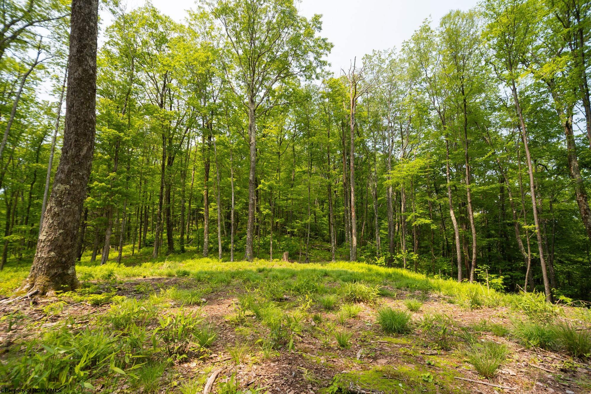 Oakland, Maryland 21550, United States, ,Land,Active,148462