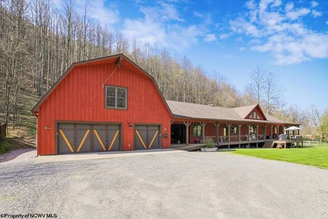 Photo of 2246 Cravens Run Road, Elkins, WV 26241 (MLS # 10164373)