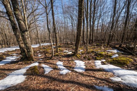 Photo of 0 E Alpine Drive, Terra Alta, WV 26764 (MLS # 10163444)