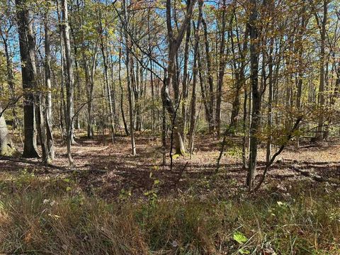 Photo of 470 Redwood Drive, Terra Alta, WV 26764 (MLS # 10162045)