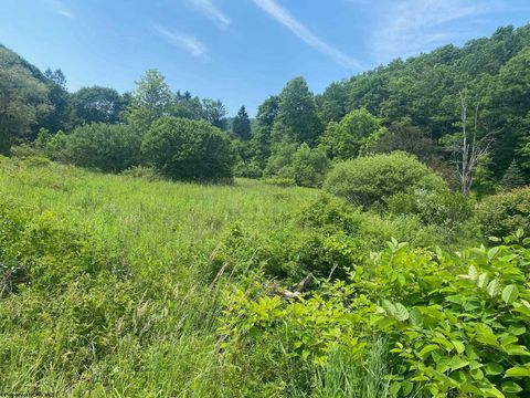 Photo of TBD Grass Lick Run, Montrose, WV 26283 (MLS # 10163681)