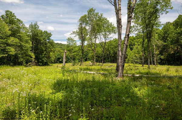 21 LAKE DR, BUCKHANNON, WV 26201 - Image ef8b3fe1ddb4b7b189b1e149d925f697/216307842