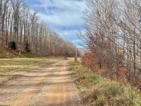 Photo of TBD Brookeside Road, Davis, WV 26260 (MLS # 10162342)