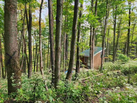 Photo of 37 Rocky Road, Harman, WV 26270 (MLS # 10161646)