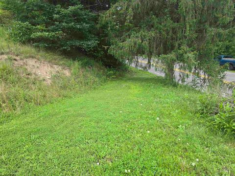 Photo of 15090 Route 20 South Road, Rock Cave, WV 26234 (MLS # 10160772)